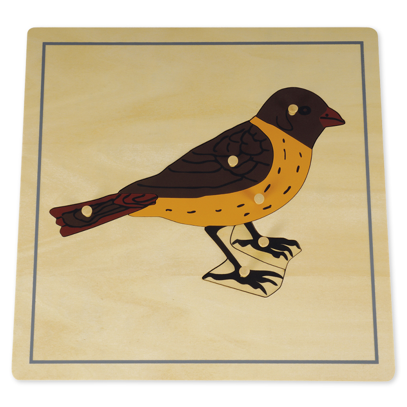 Timetex Puzzle Vogel Montessori Premium Biologie Montessori