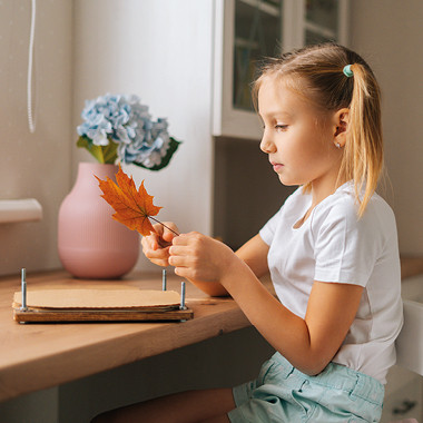 Herbarium für Kinder