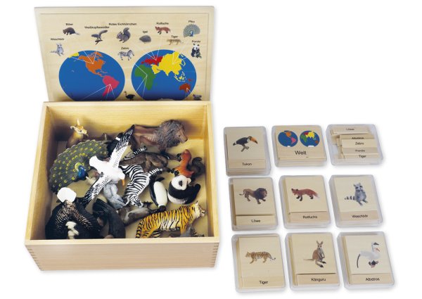 TimeTEX Animal Continent Box "Montessori Premium"