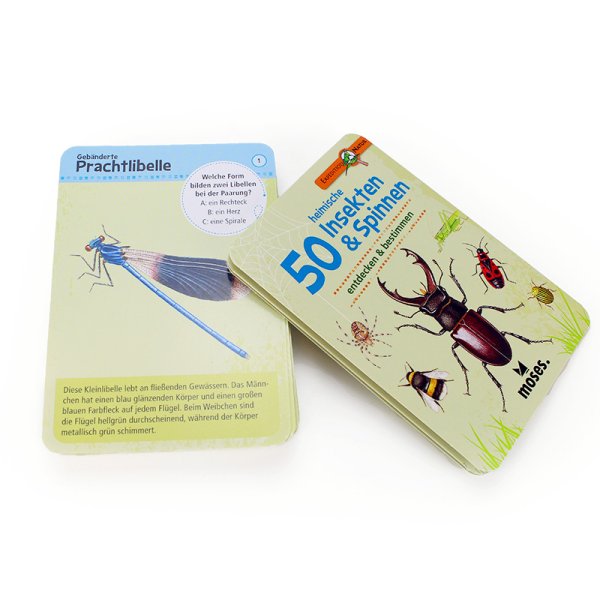 Kartenspiel "Insekten & Spinnen, entdecken & bestimmen"
